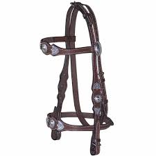 English Bridle