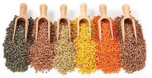 Organic Pulses