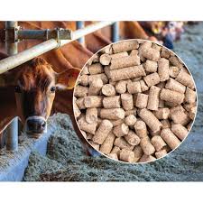 Cattle Feed