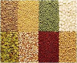 Food Grains