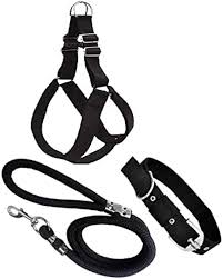 Harness Set