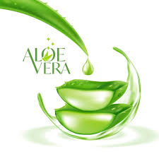 Aloe Vera Cosmetics