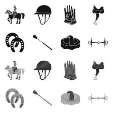 Horse Riding Equipments